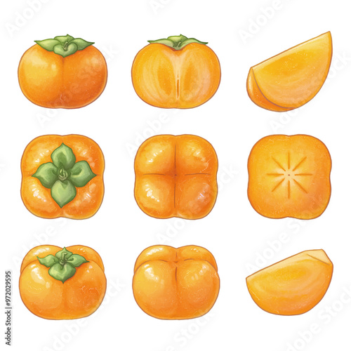 Illustration of persimmon_Jiro
