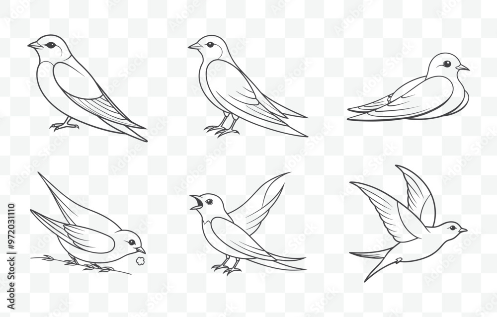 Fototapeta premium Print Swift Line Art Vector Set with Detailed and Elegant Designs for Creative Projects and Illustrations