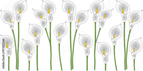 Peace lily flower vector design eps 3