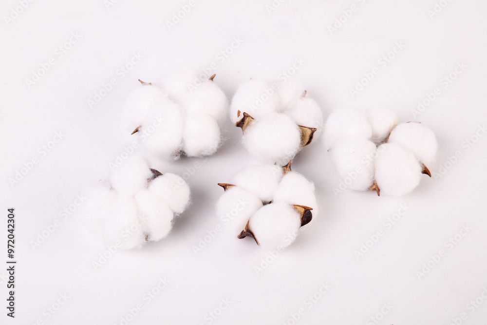 cotton buds on a white cotton buds on a white