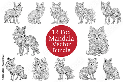 Fox Mandala Lineart Vector Bundle