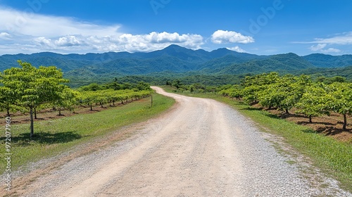 Fertile Peach Orchard in Full Bloom During Harvest Time, Showcasing Lush Fruit-Laden Trees and Abundant Peaches Ready for Picking. The Image Highlights the Bounty of the Orchard and the Rich, 