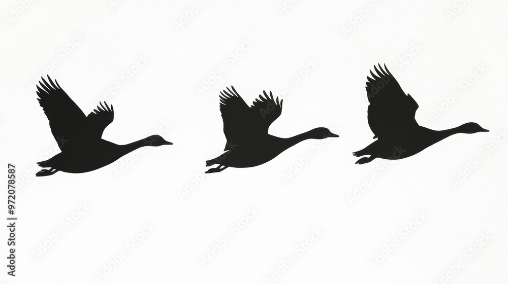Obraz premium Flying Geese Silhouette.