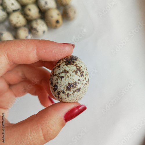 Woman holding quail eggs in hand. Quail egg close-up. Cooking quail egg omelette. Benefits. Diet food. Background, text space. photo