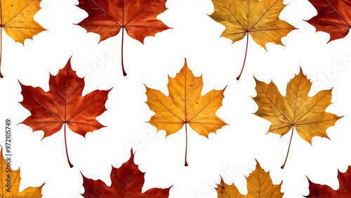 autumn leaves pattern