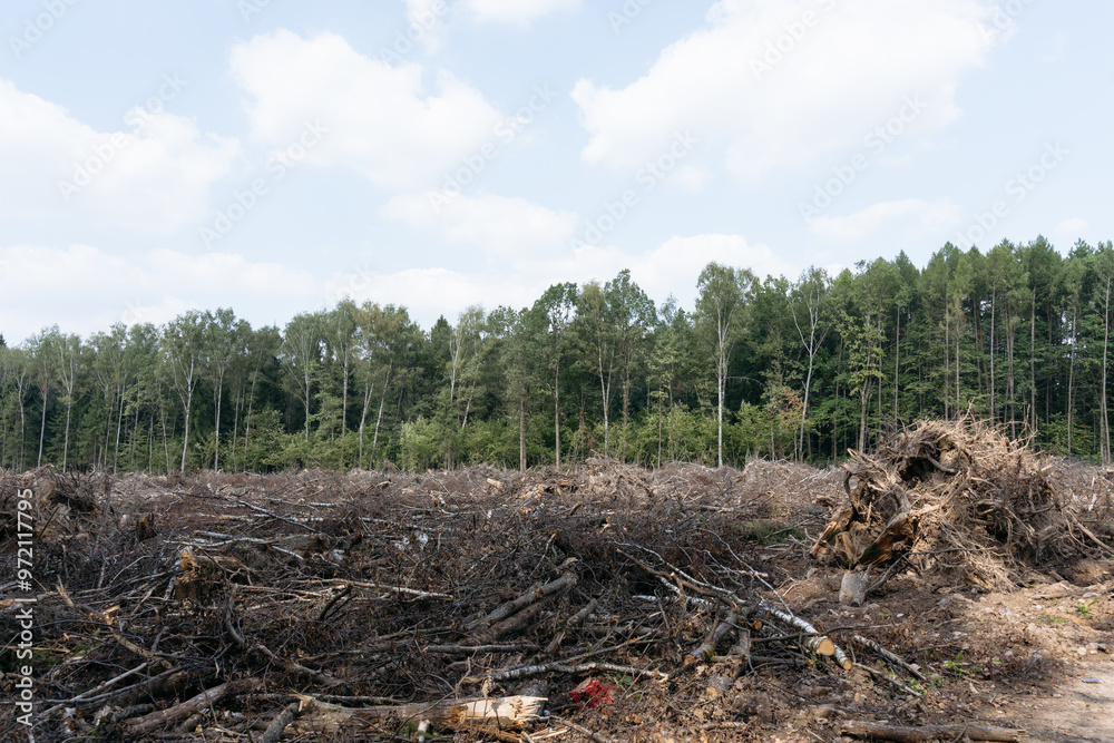 forest clearing with uprooted trees, branches, soil debris scattered across the landscape, contrasting with the remaining forest in the background, deforestation, land clearing, environmental impact
