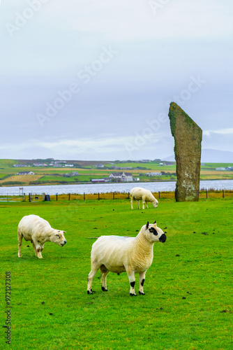 View of the Standing Stones of Stenness, Orkney Islands