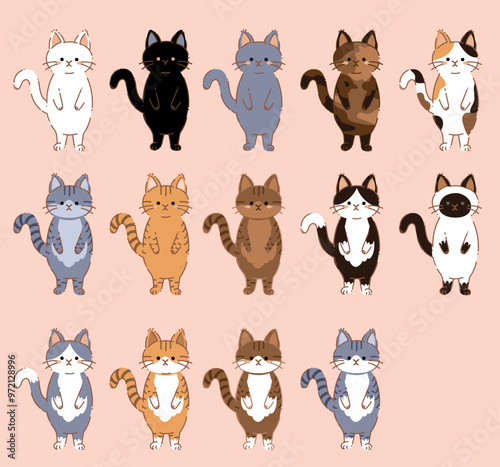猫の模様イラストセット