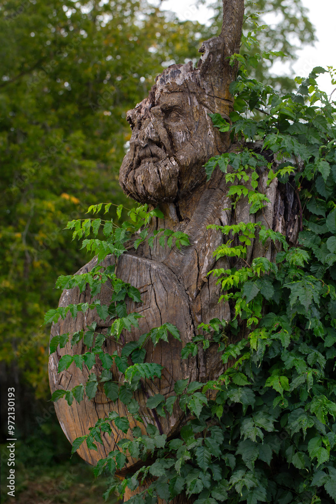 Obraz premium Abandoned old wooden viking sculpture.