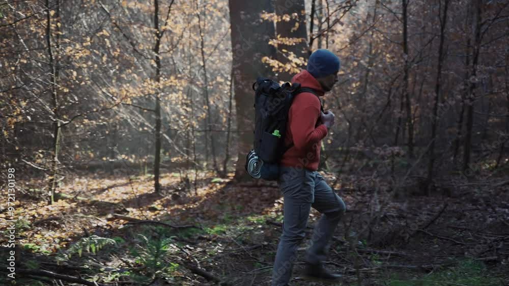 Man walking in an autumn forest in cold, sunny weather with backpack. Leisure activity, weekend. Travel and active lifestyle. Male hiking and exploring forest area. Backpacking, woods, trekking. Man walking in an autumn forest in cold, sunny weather with backpack. Leisure activity, weekend. Travel and active lifestyle. Male hiking and exploring forest area. Backpacking, woods, trekking.