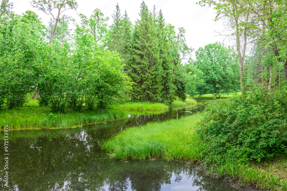 A winding stream meanders through a lush forest, surrounded by tall trees and verdant foliage. The water reflects the surrounding greenery, creating a tranquil and peaceful atmosphere. A winding stream meanders through a lush forest, surrounded by tall trees and verdant foliage. The water reflects the surrounding greenery, creating a tranquil and peaceful atmosphere.