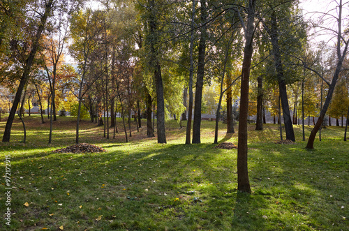 Beautiful autumnal nature landscape. Rest area surrounded by trees in Kyiv, Europe. Pile of autumn colored leaves in city park photo