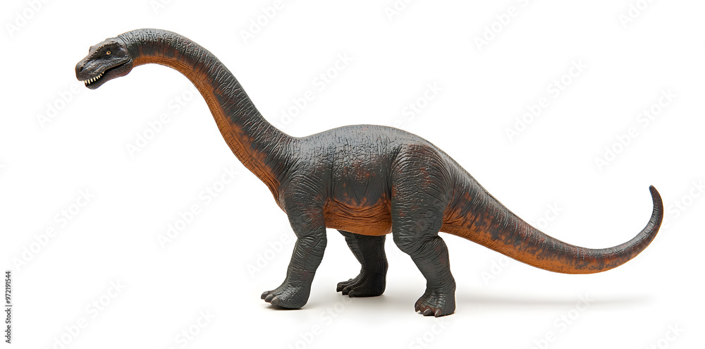 Brachiosaurus dinosaur isolated on white background Brachiosaurus dinosaur isolated on white background