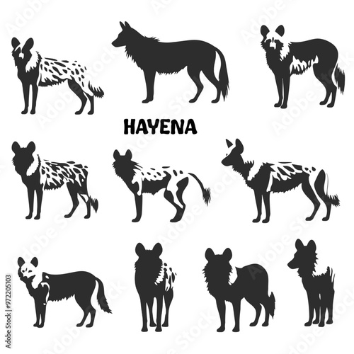 HAYENA VECTOR ICON SILHOUETTE photo