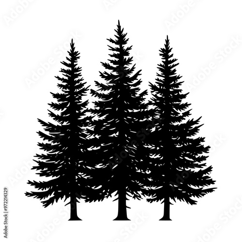 Silhouette of evergreen pine trees in black, Black silhouette of tall evergreen pine trees, featuring detailed branches and a simple design, isolated on a white background.
