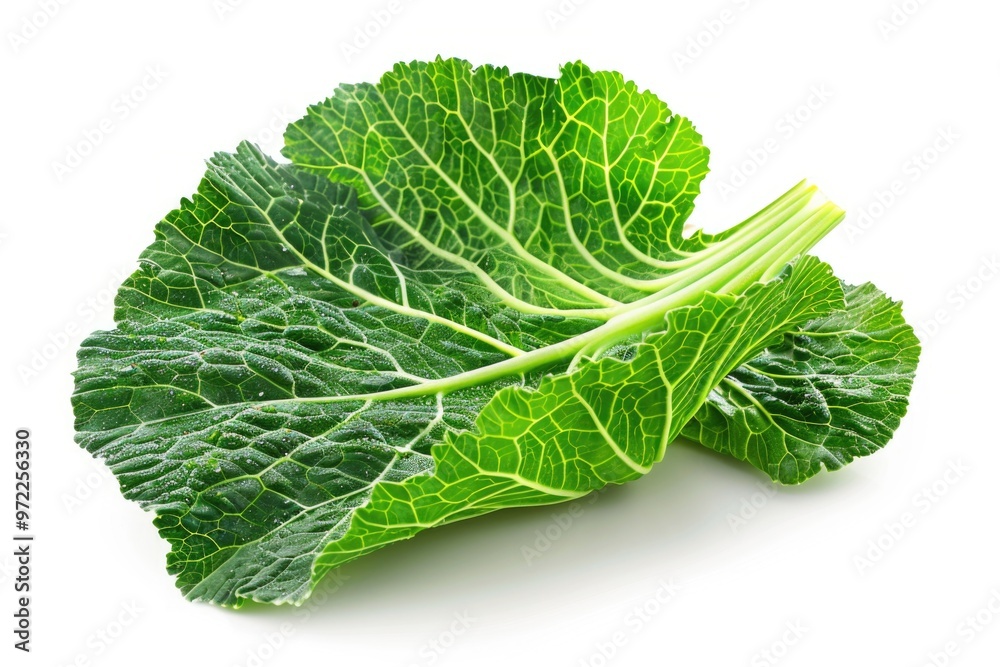Fresh greens on a clean background, perfect for food or lifestyle compositions Fresh greens on a clean background, perfect for food or lifestyle compositions