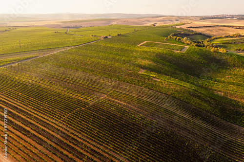 Chapel Hradistek near Velke Bilovice Czech Republic. Vineyard rows in bright sunlight, nestled between hills and trees. Sunlit agricultural wine landscape. photo