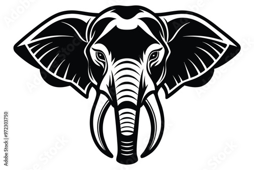 elephant head illustration  photo