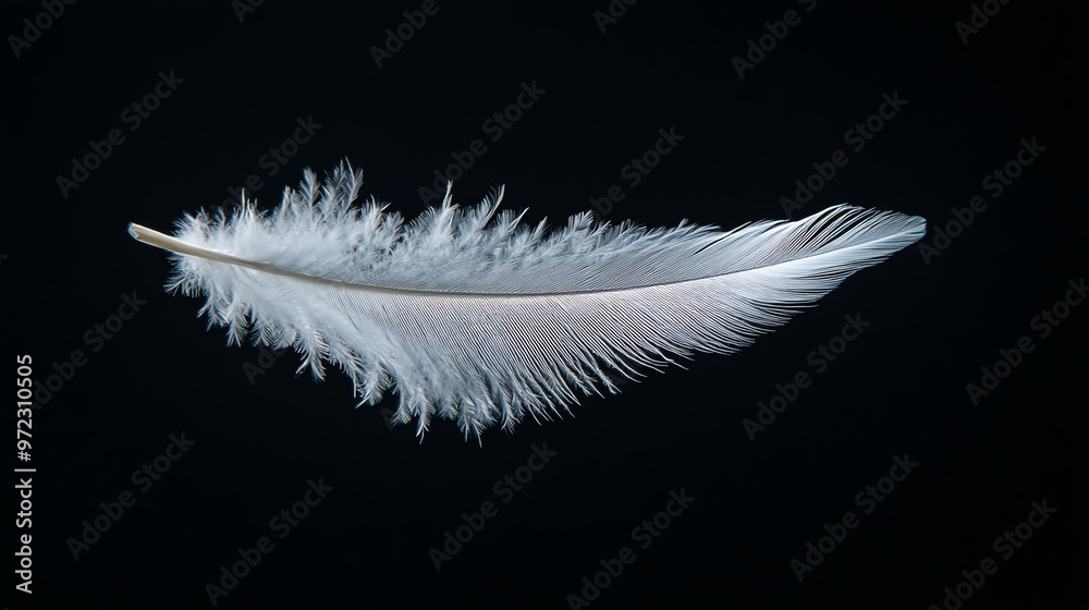 Obraz premium A single white feather floating against a black background.
