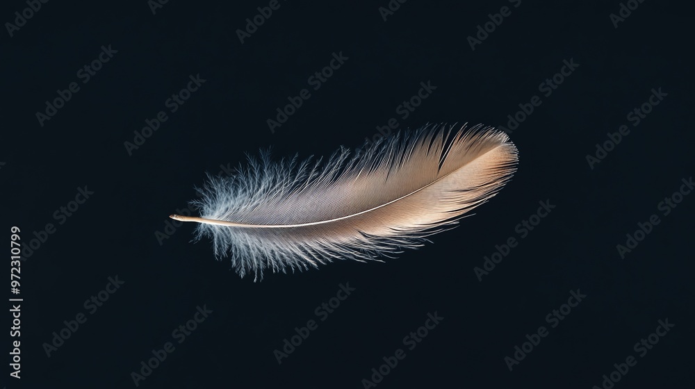 Obraz premium A single white feather against a black background.