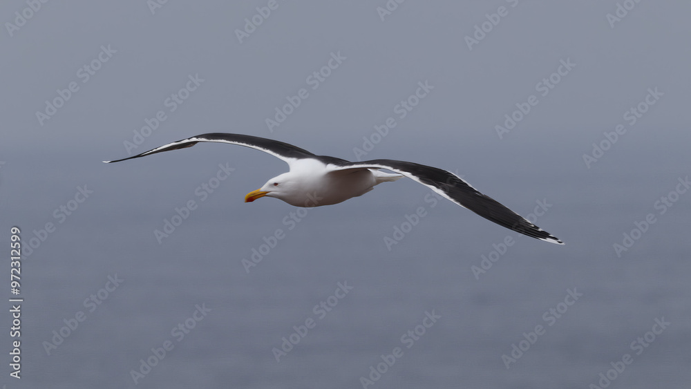 Obraz premium Meine Bilder