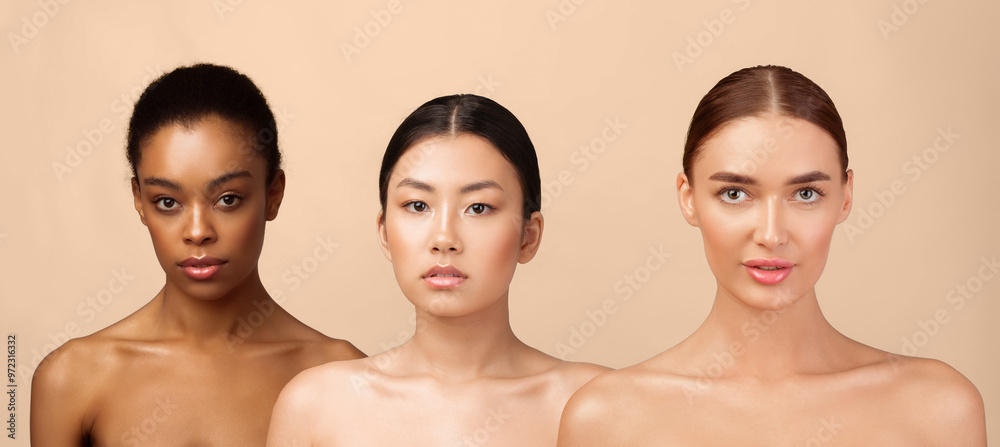 Female Beauty Concept. Three Multicultural Model Girls Posing Wearing Underwear Looking At Camera Over Gray Studio Background. Female Beauty Concept. Three Multicultural Model Girls Posing Wearing Underwear Looking At Camera Over Gray Studio Background.