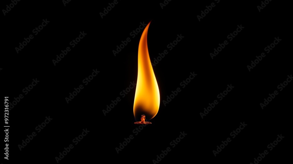 A single candle flame burning brightly against a black background. A single candle flame burning brightly against a black background.