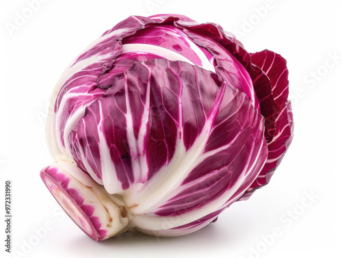 radicchio isolated on white background