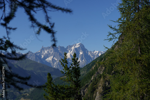 Mont Blanc view