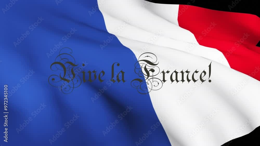 Animation of vive la france text and french flag