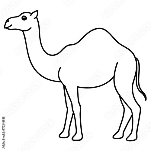 Artistic Camel Line Art silhouette vector.