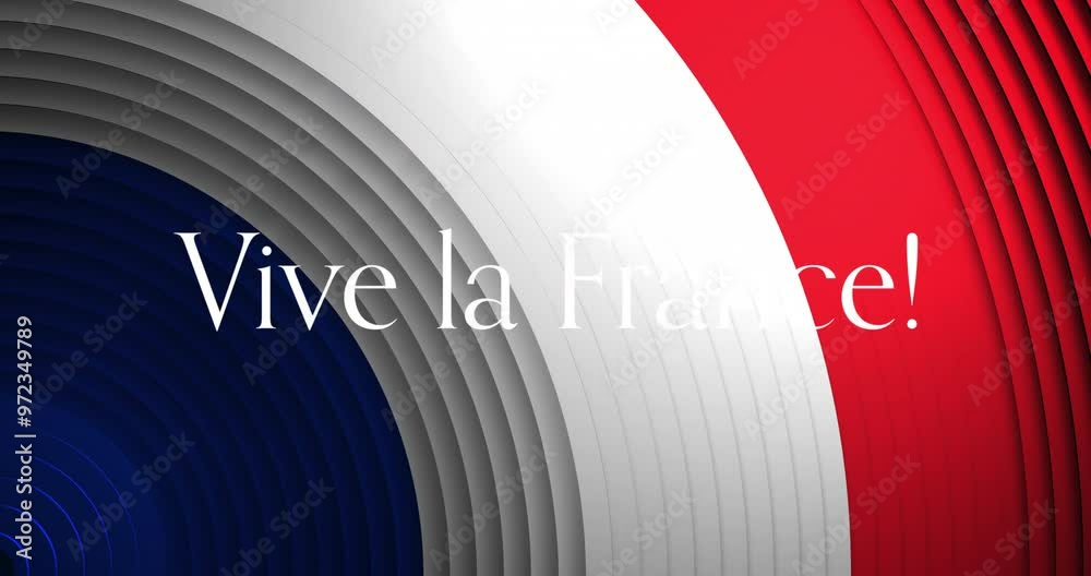 Animation of vive la france text and circles with french flag