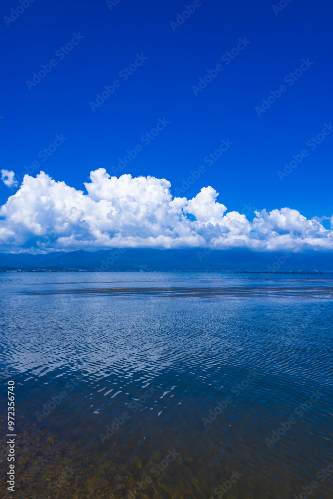 Obraz premium 琵琶湖畔夏景色