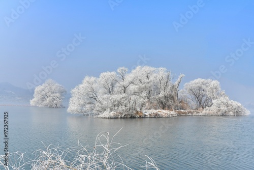 Morning view of hoarfrost at the trees on island at Namhan River in winter near Chungju-si, South Korea photo