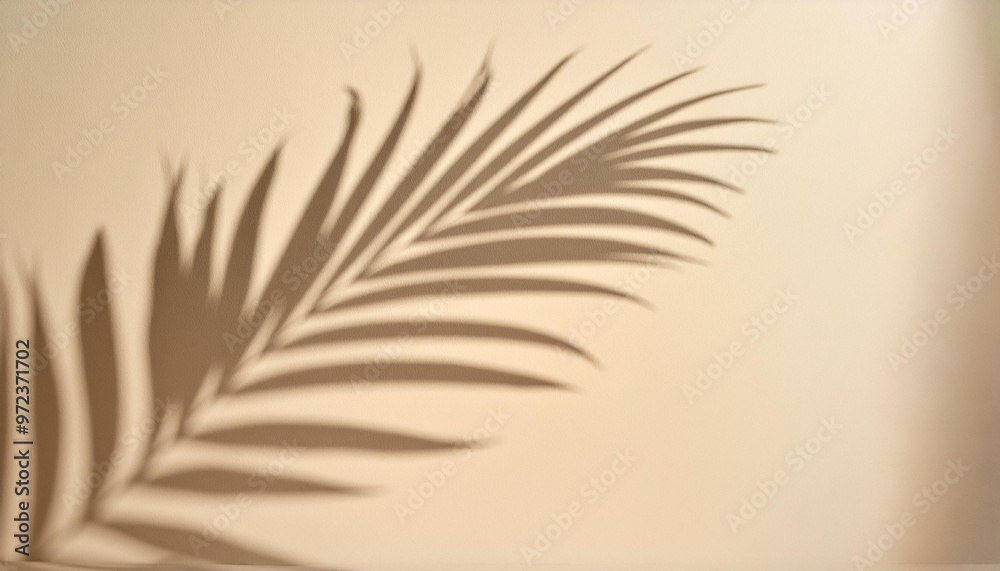 Palm leaves shadow on beige background, freeze motion Palm leaves shadow on beige background, freeze motion