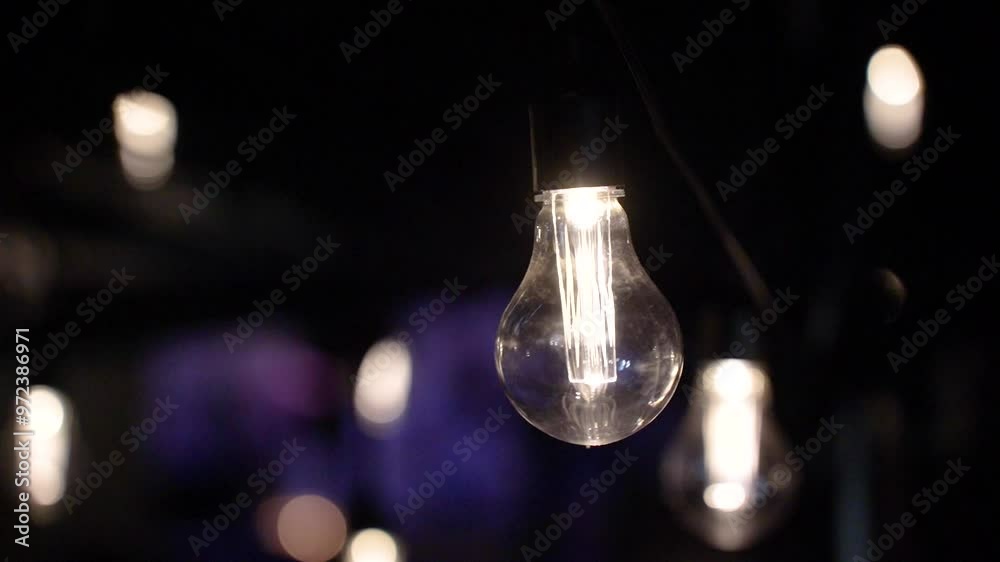the light bulb shines at night the light bulb shines at night