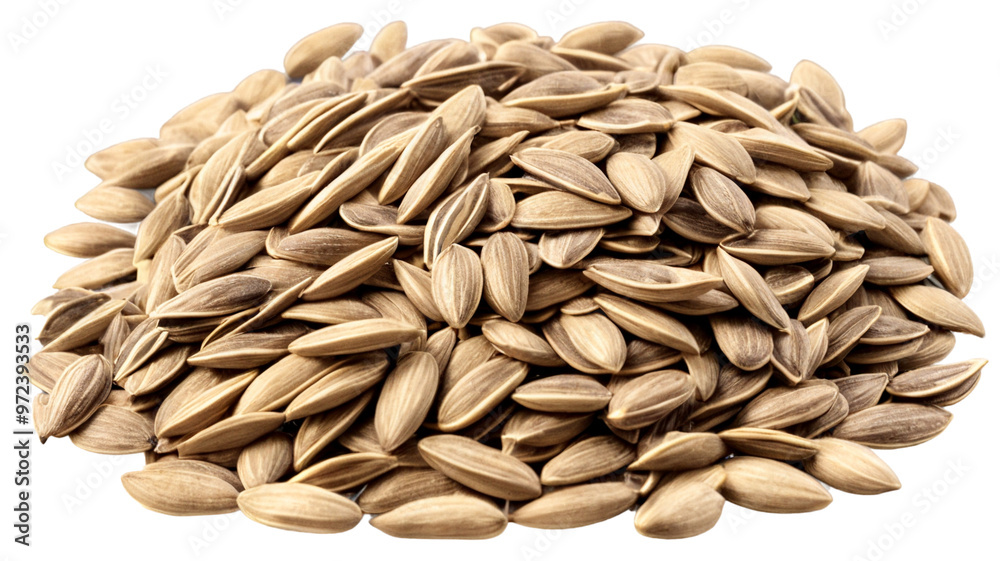 Healthy popular pile of sunflower seeds on white or transparent background Healthy popular pile of sunflower seeds on white or transparent background
