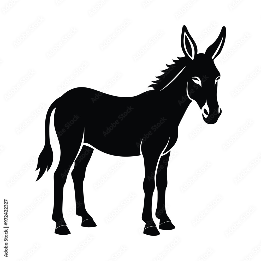 donkey isolated on white background donkey isolated on white background