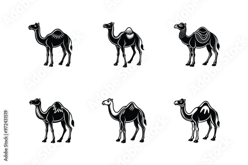 set of camels vector, camel cartoon isolated