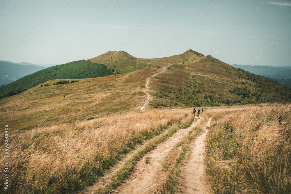 Bieszczady. Na Połoninie Wetlińskiej, widok na Osadzki Wierch, Smerek i przełęcz Orłowicza