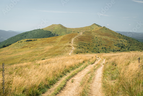 Obraz na płótnie Bieszczady. Na Połoninie Wetlińskiej, widok na Osadzki Wierch, Smerek i przełęcz Orłowicza w salonie
