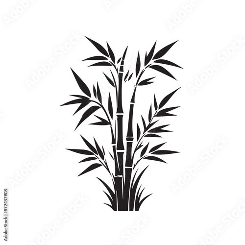 Bamboo silhouette black on white background. Bamboo vector design.