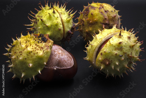 Chestnuts, a synonym of the coming autumn.
