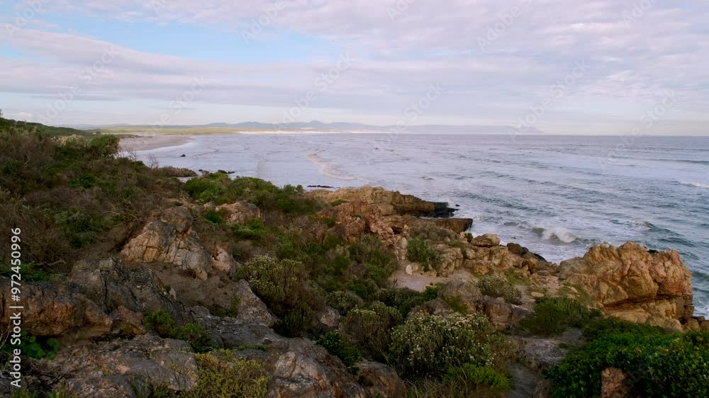 Coastal vegetation and jagged rocks along Hermanus coastline, high angle view Coastal vegetation and jagged rocks along Hermanus coastline, high angle view