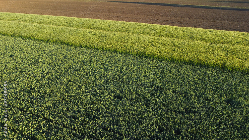 agricultural fields in spring, in Vojvodina, seen from the drone agricultural fields in spring, in Vojvodina, seen from the drone