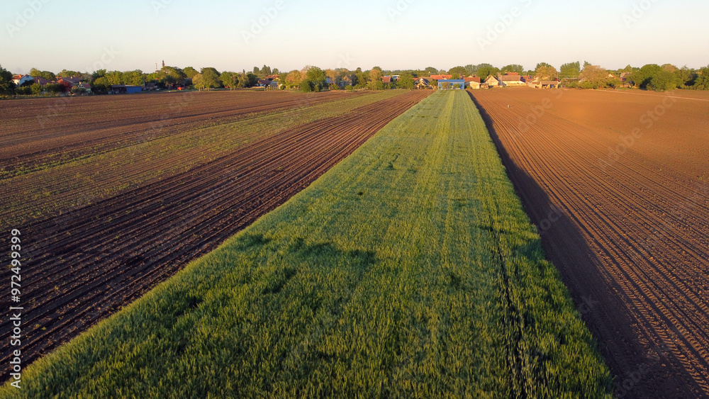 agricultural fields in spring, in Vojvodina, seen from the drone agricultural fields in spring, in Vojvodina, seen from the drone