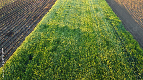 agricultural fields in spring, in Vojvodina, seen from the drone photo