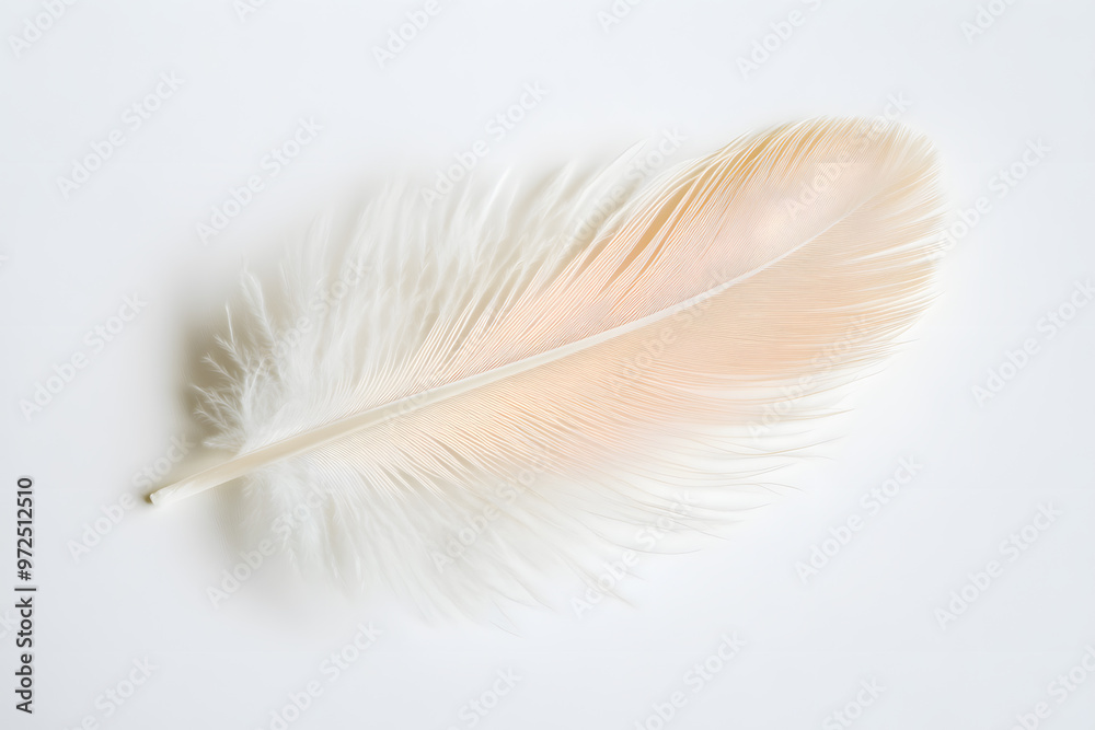 A single white feather, captured in closeup, highlights its delicate texture and soft, airy appearance A single white feather, captured in closeup, highlights its delicate texture and soft, airy appearance