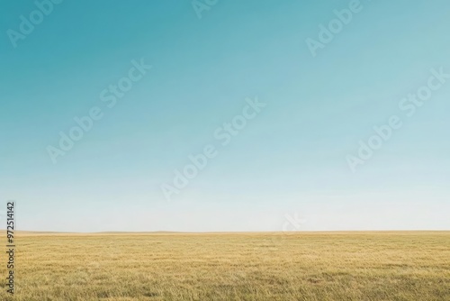 Open field and clear sky