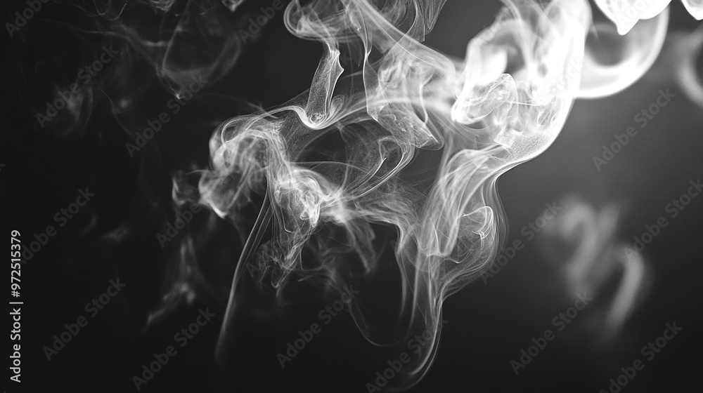 custom made wallpaper toronto digitalSteam on black background, set of white smoke on black background
